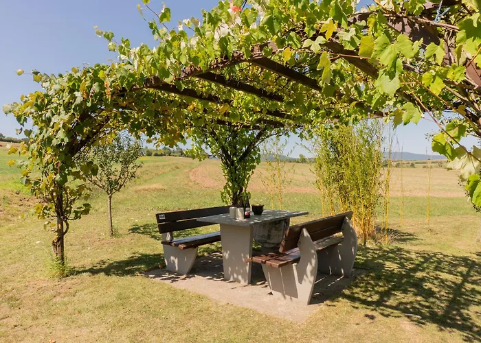 Homestay Mit Gemeinschaftsbad - Zur Fliegerbank In Der Rhoen Burkardroth
